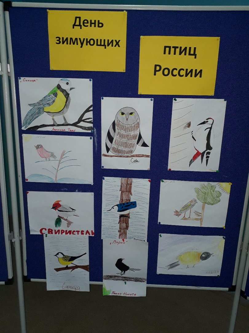 День птиц в россии 2024